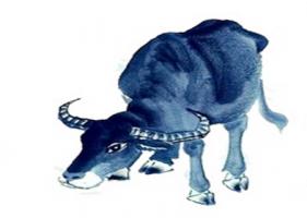 卜算子算命網(wǎng)