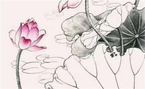 吉利手機號的數(shù)字與財富運勢 不利于財運的手機數(shù)字