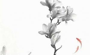 數(shù)字能量號(hào)碼查詢表 手機(jī)號(hào)碼測吉兇超準(zhǔn)免費(fèi)
