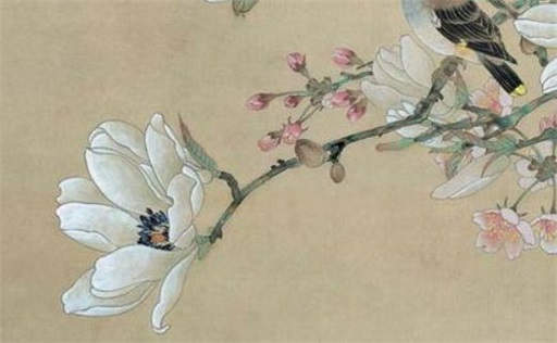 戊申年出生人命運(yùn)命格詳解