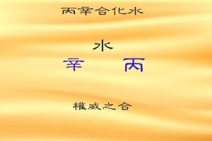 丙辛合化水的原理意義和類象，丙辛合水是什么意思？