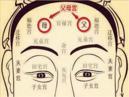 日月角突出的面相，日月角突出必為貴人