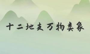 類象是什么意思，八卦萬物類象詳解！
