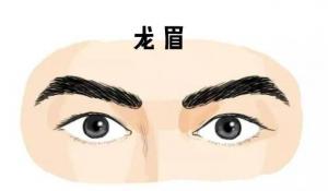 龍眉的男人命運，男人龍眉面相！