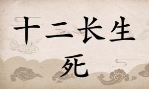 死在八字里面代表什么，死在八字里面代表什么意思？