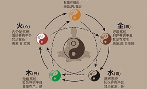 五行之間相生相克的關系-易經(jīng)怎么入門-易經(jīng)周易知識入門-
