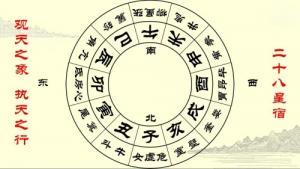 干支甲子是什么意思啊？