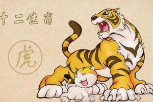 卜算子算命網(wǎng)