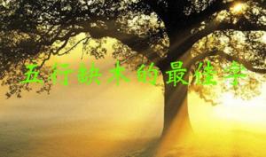 五行缺木的最佳字，五行缺木屬性的字大全！