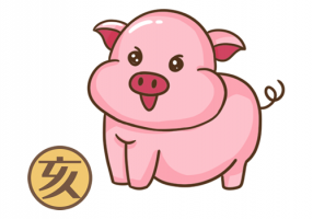 屬豬人2024年全年運(yùn)勢(shì)及運(yùn)程，屬豬人2024年每月運(yùn)勢(shì)及運(yùn)程！