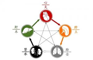 五行內(nèi)臟對照表，五行內(nèi)臟對應關(guān)系！