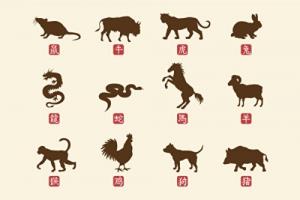 卜算子算命網(wǎng)