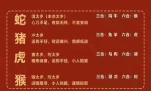 卜算子算命網(wǎng)