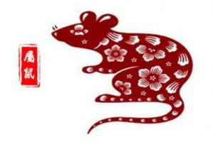 卜算子算命網(wǎng)