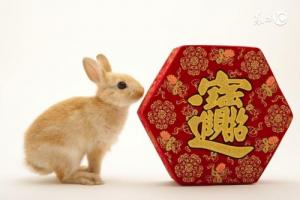 卜算子算命網(wǎng)